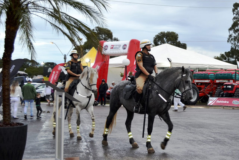 CAVALARIA  Conheça o Regimento de Polícia Montada da PMPR 