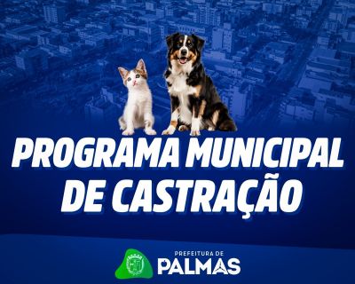 Município inicia Programa de Castração Municipal com prioridade para animais em situação de rua