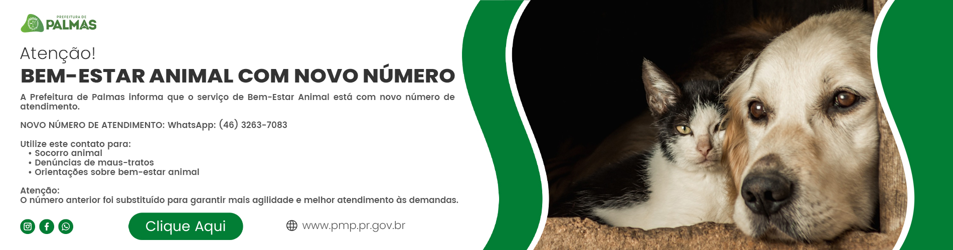 Bem-Estar Animal de Palmas divulga novo número de atendimento via WhatsApp