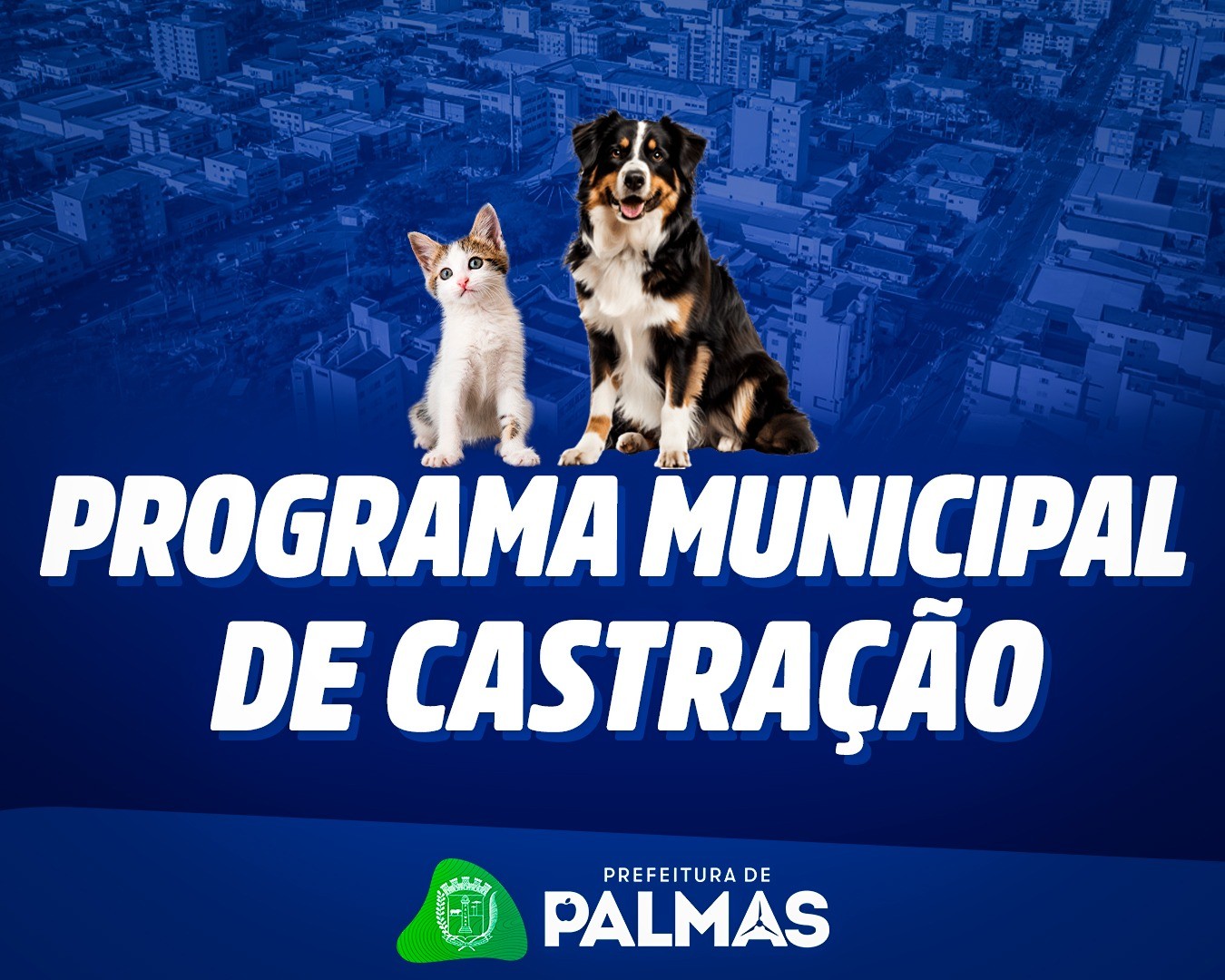 Fogos de estampido estão proibidos: Prefeitura pede apoio da população para denunciar irregularidade
